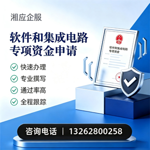 桂林软件和集成电路专项资金申报服务