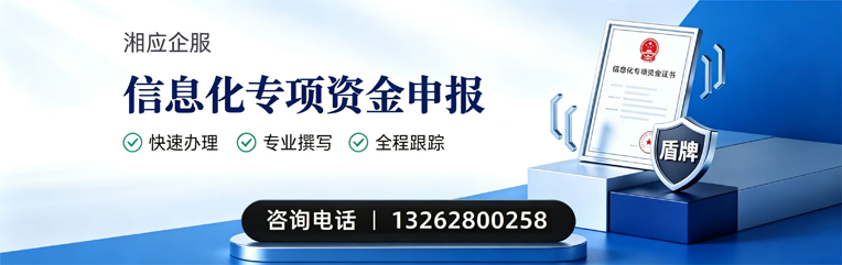 桂林信息化专项资金申报服务