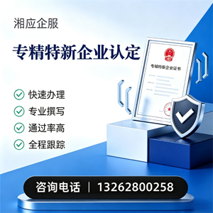 桂林专精特新企业申报服务