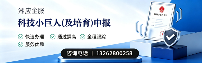 桂林科技小巨人及培育企业申报服务