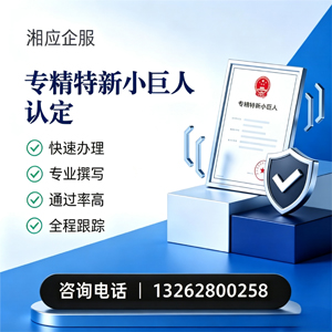 桂林专精特新小巨人申报服务