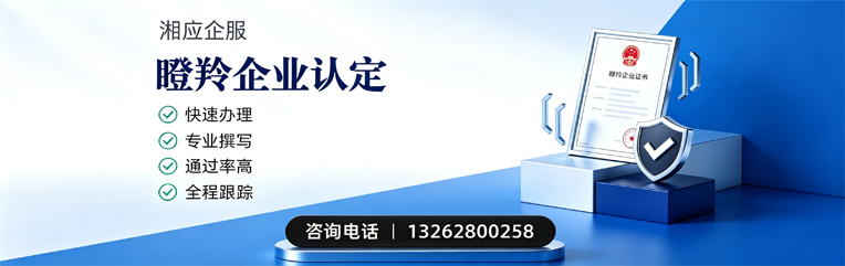 桂林瞪羚企业认定申报服务