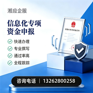 桂林信息化专项资金申报服务