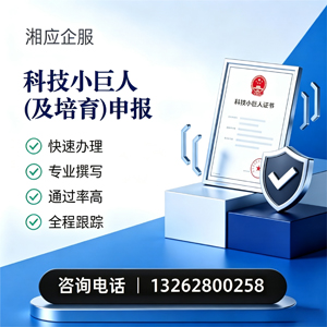 桂林科技小巨人及培育企业申报服务