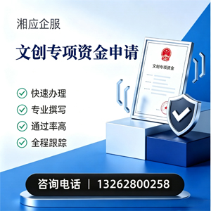桂林文创专项资金申报服务