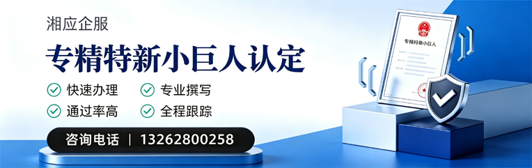 桂林专精特新小巨人申报服务